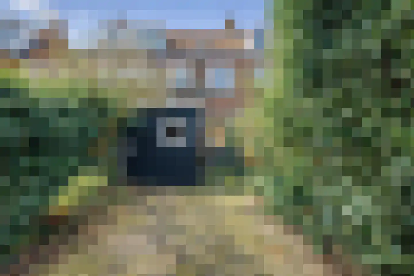 Buys Ballotstraat 46 Leiden thumbnail 15