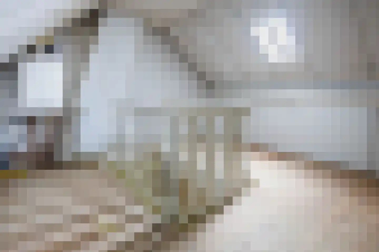 Buys Ballotstraat 46 Leiden thumbnail 34