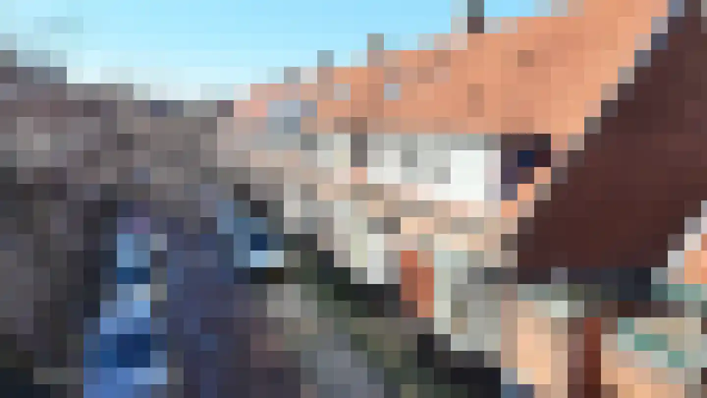 Buys Ballotstraat 46 Leiden thumbnail 37