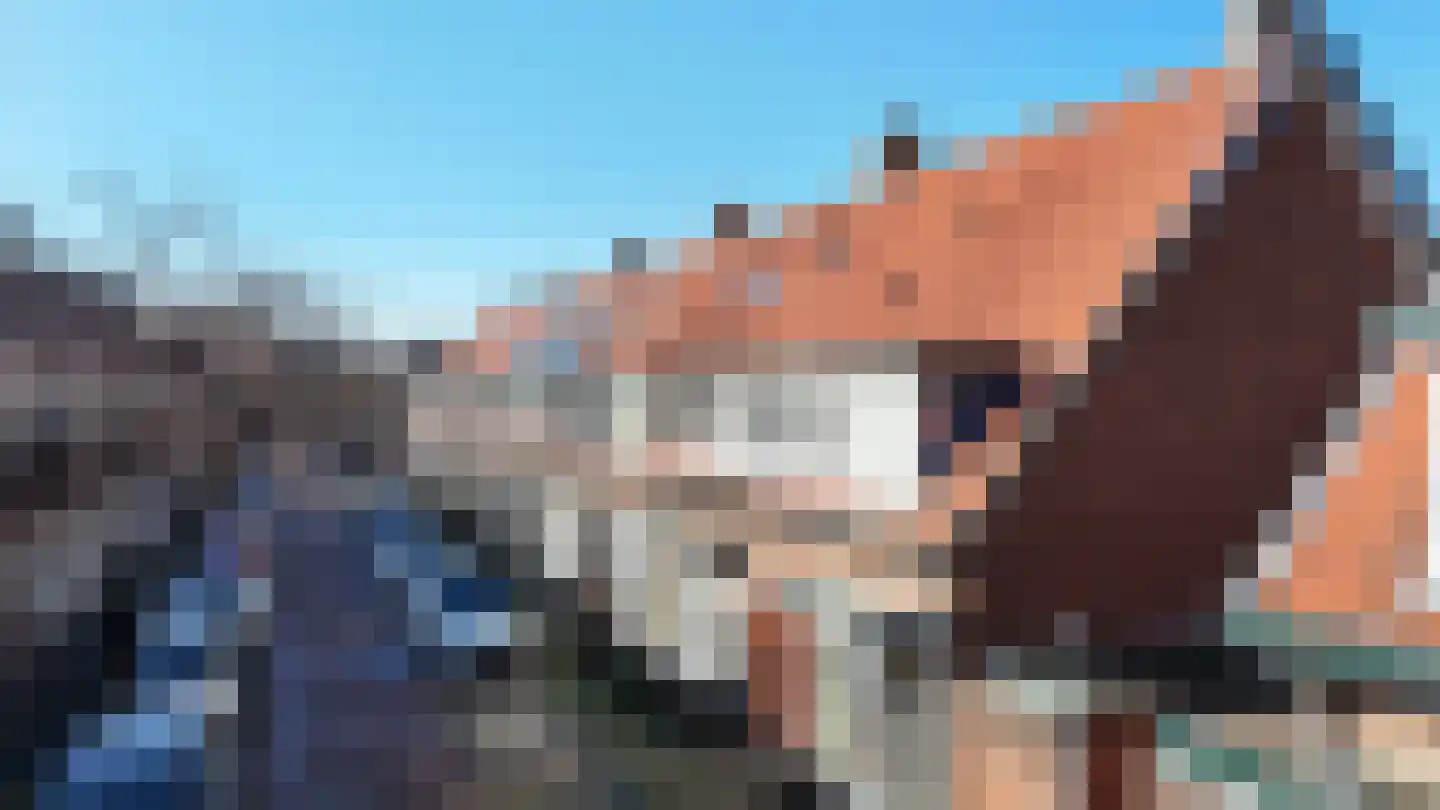 Buys Ballotstraat 46 Leiden thumbnail 39
