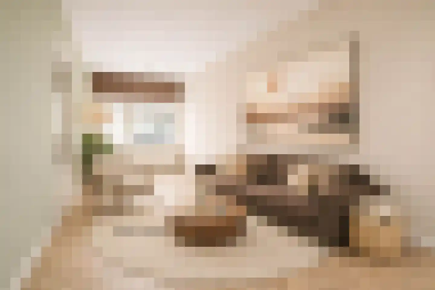 Buys Ballotstraat 46 Leiden thumbnail 9