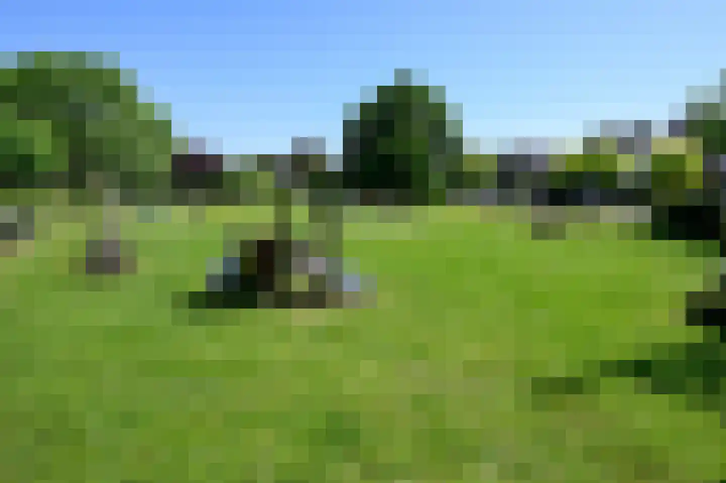 Buys Ballotstraat 47 Badhoevedorp thumbnail 5