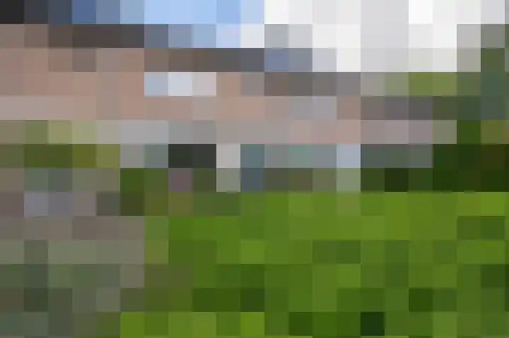 Buys Ballotstraat 48 Apeldoorn thumbnail 27