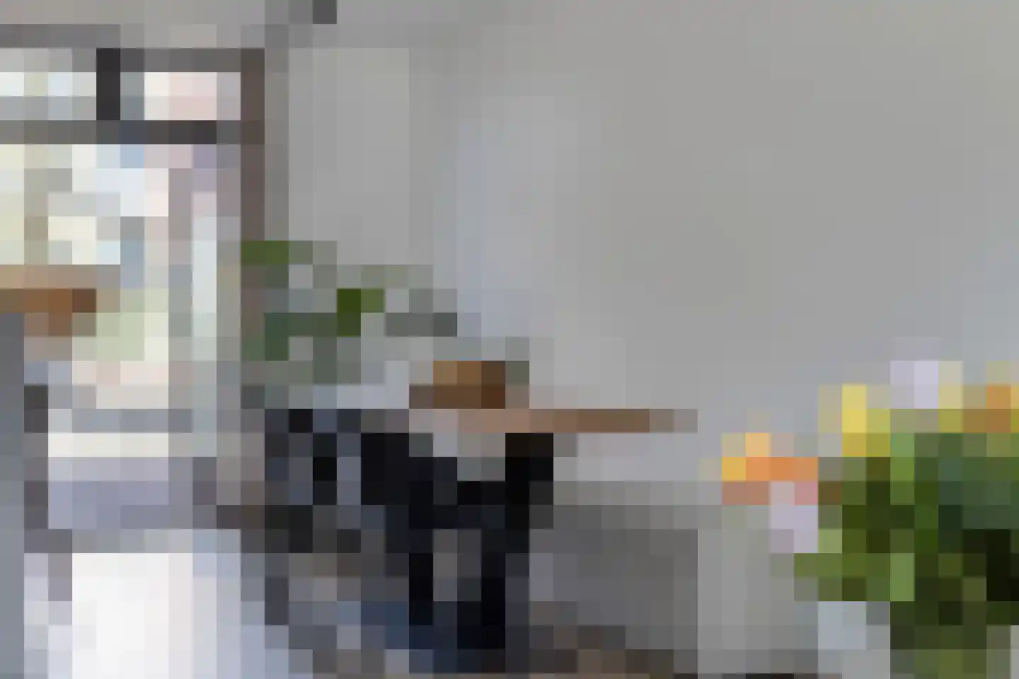Buys Ballotstraat 48 Goes thumbnail 15