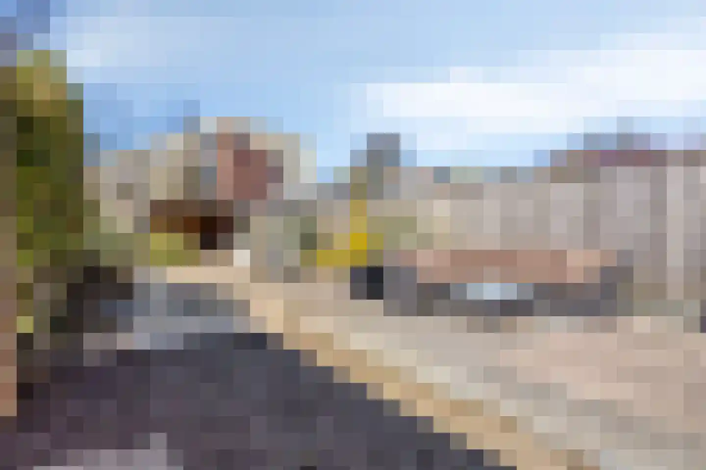 Buys Ballotstraat 48 Goes thumbnail 33