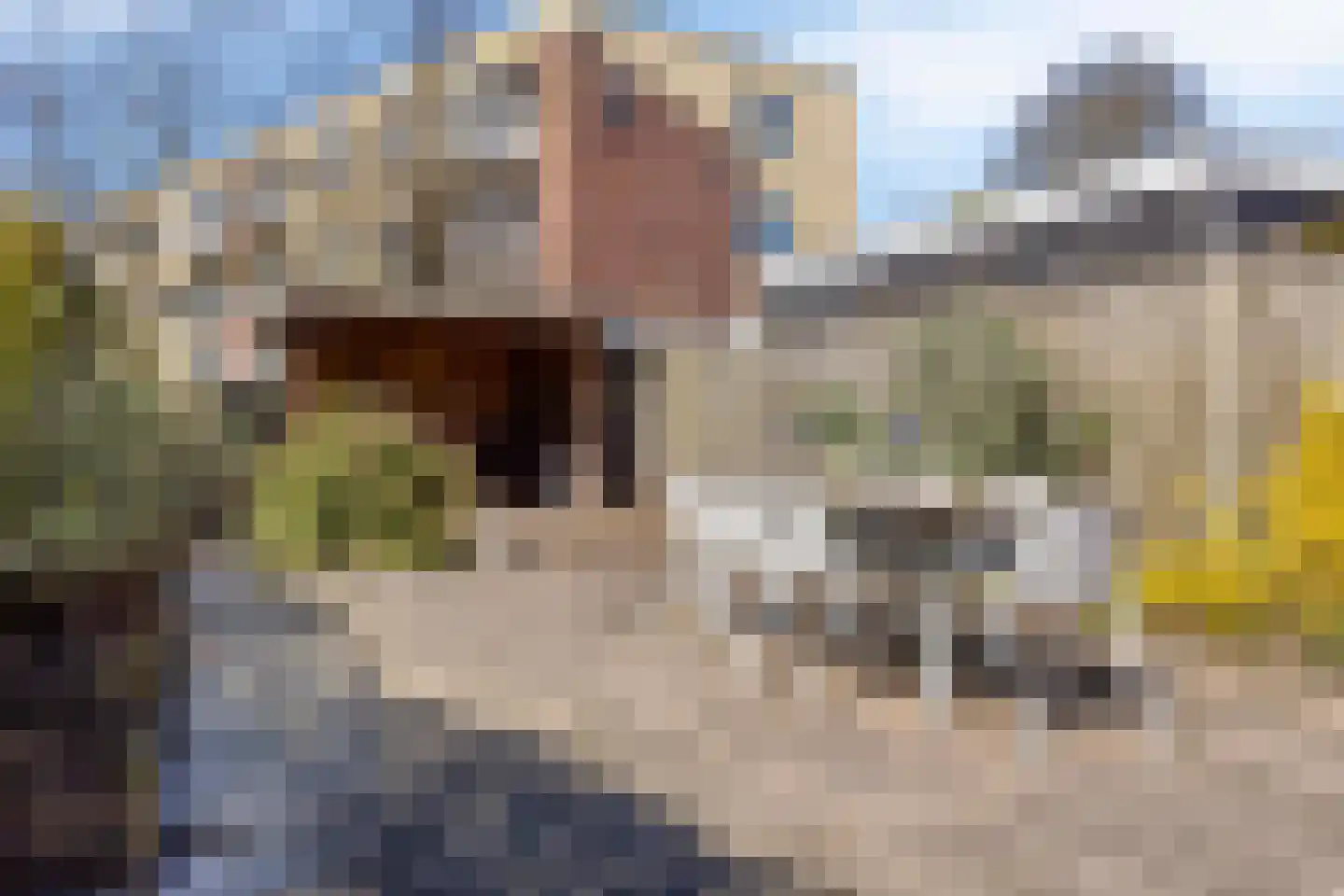 Buys Ballotstraat 48 Goes thumbnail 35