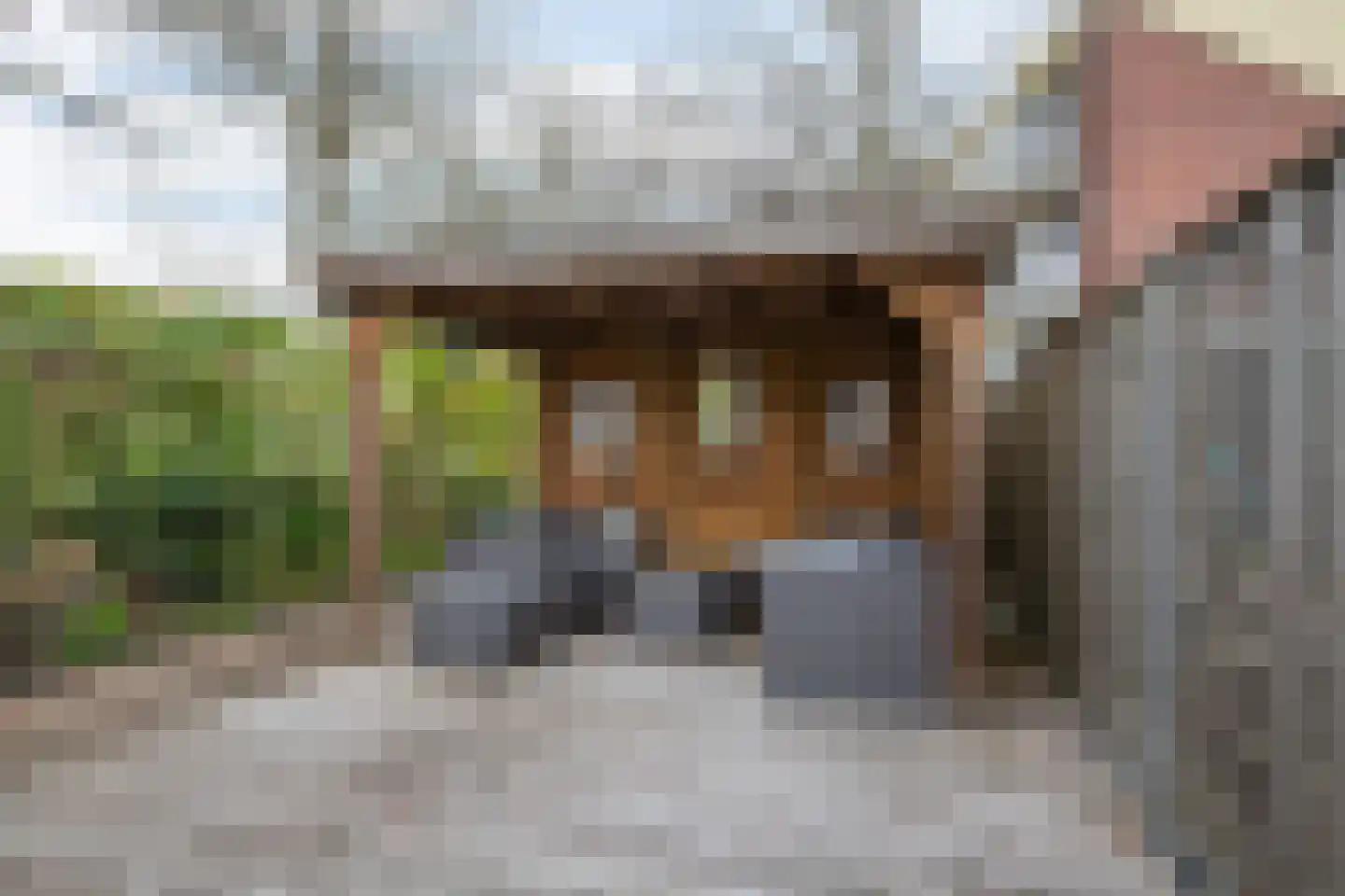 Buys Ballotstraat 48 Goes thumbnail 36