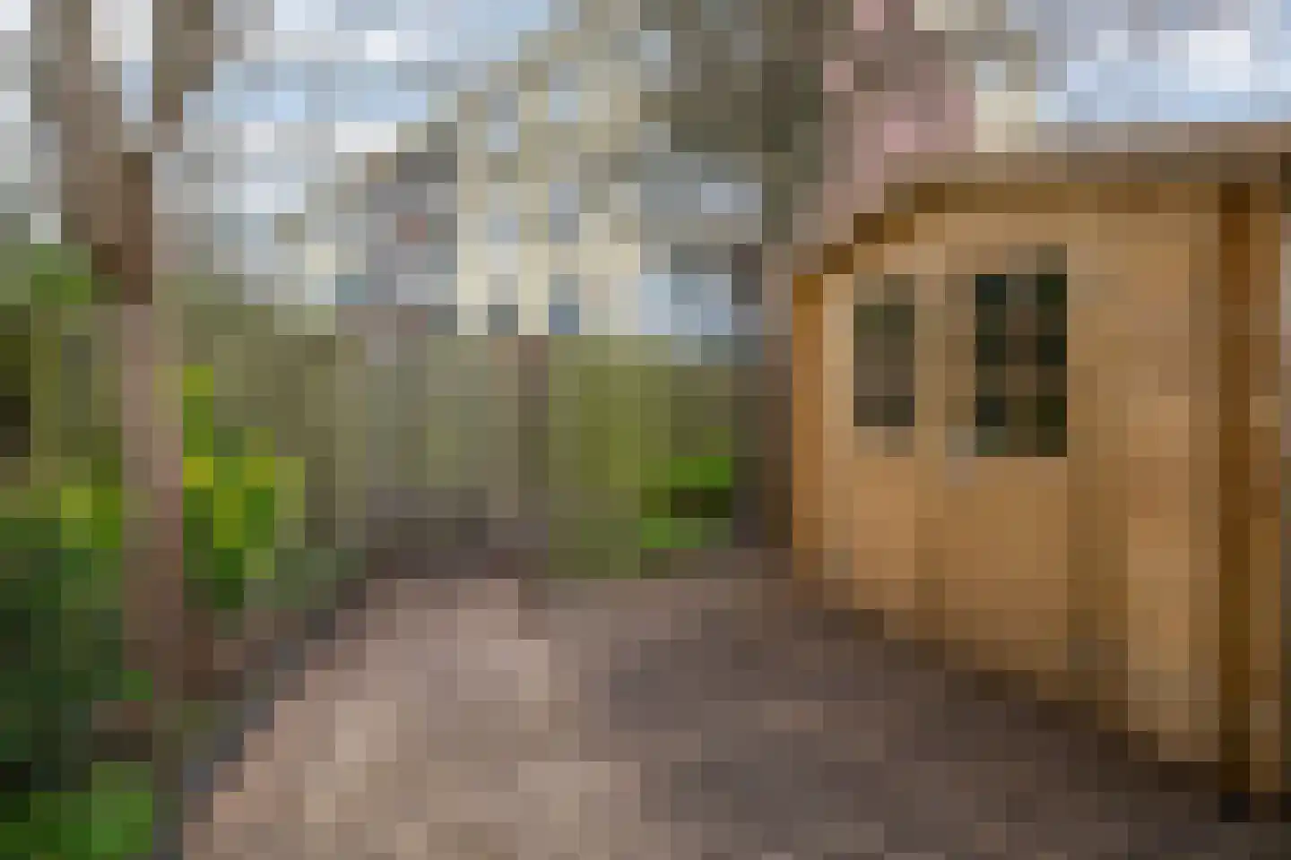 Buys Ballotstraat 48 Goes thumbnail 38