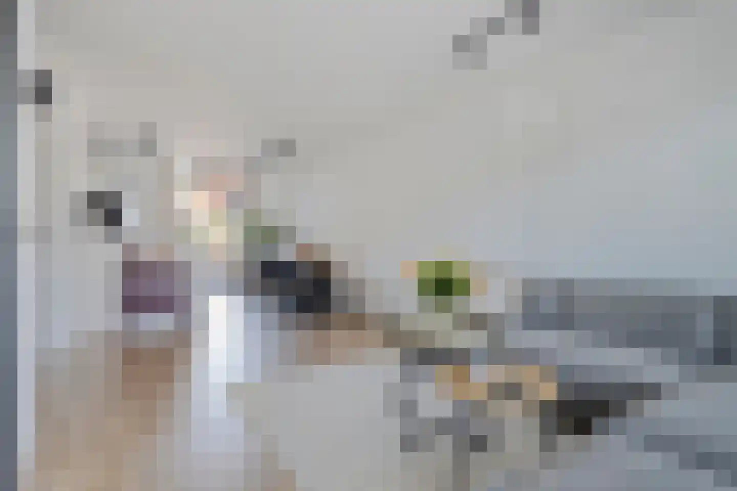 Buys Ballotstraat 48 Goes thumbnail 9