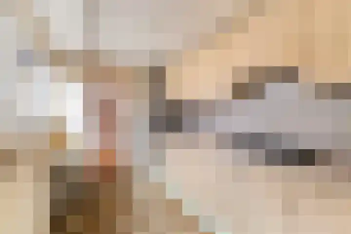 Buys Ballotstraat 5 Den Helder thumbnail 12
