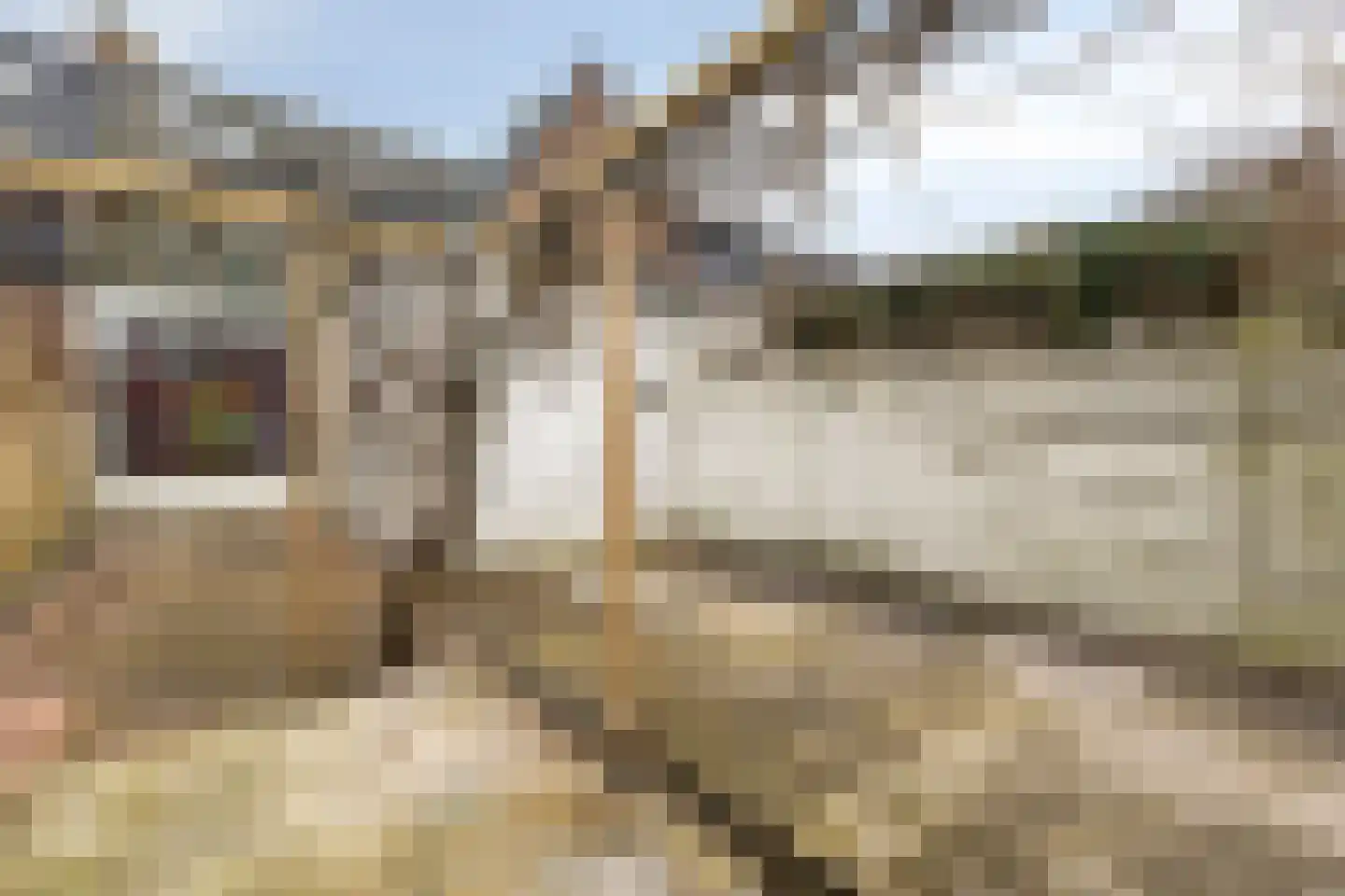 Buys Ballotstraat 5 Den Helder thumbnail 32