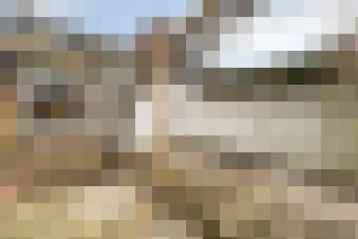 Buys Ballotstraat 5 Den Helder thumbnail 32