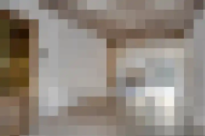 Buys Ballotstraat 56 Leiden thumbnail 13