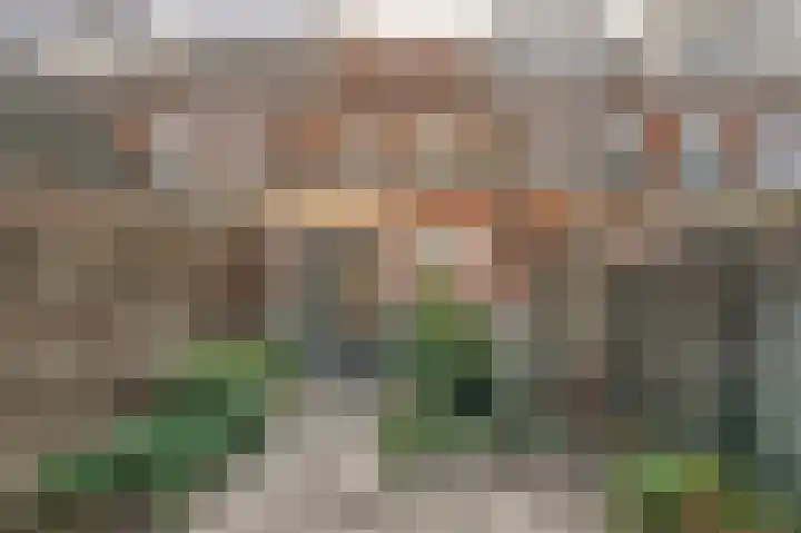 Buys Ballotstraat 56 Leiden thumbnail 29