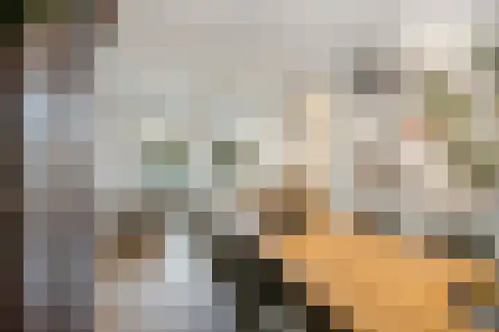 Buys Ballotstraat 9 Utrecht thumbnail 12