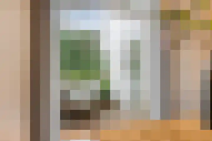 Buys Ballotstraat 9 Utrecht thumbnail 13