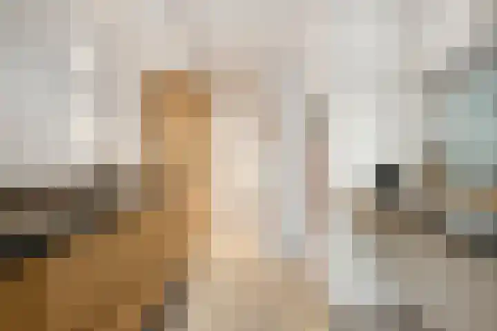 Buys Ballotstraat 9 Utrecht thumbnail 14