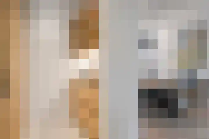Buys Ballotstraat 9 Utrecht thumbnail 15