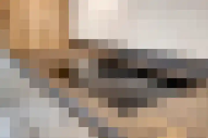 Buys Ballotstraat 9 Utrecht thumbnail 17