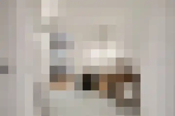 Buys Ballotstraat 9 Utrecht thumbnail 24