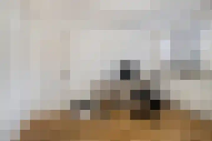 Buys Ballotstraat 9 Utrecht thumbnail 33