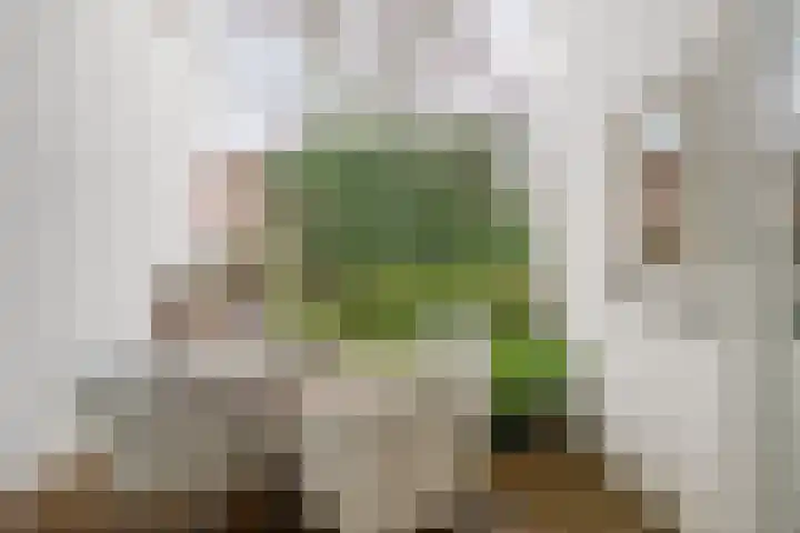 Buys Ballotstraat 9 Utrecht thumbnail 34