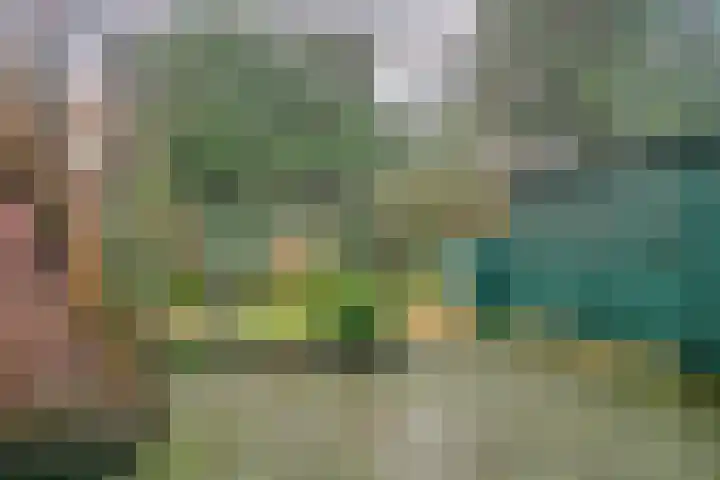 Buys Ballotstraat 9 Utrecht thumbnail 35