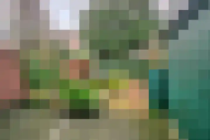 Buys Ballotstraat 9 Utrecht thumbnail 36