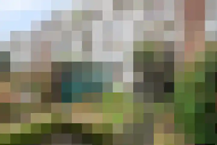 Buys Ballotstraat 9 Utrecht thumbnail 38