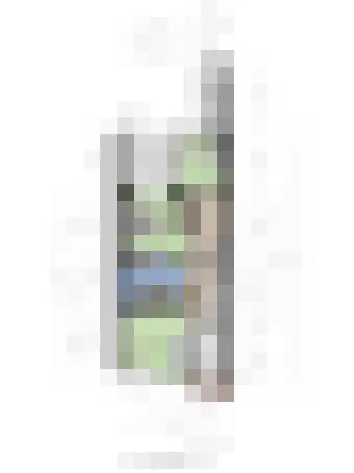 Buys Ballotstraat 9 Utrecht thumbnail 42