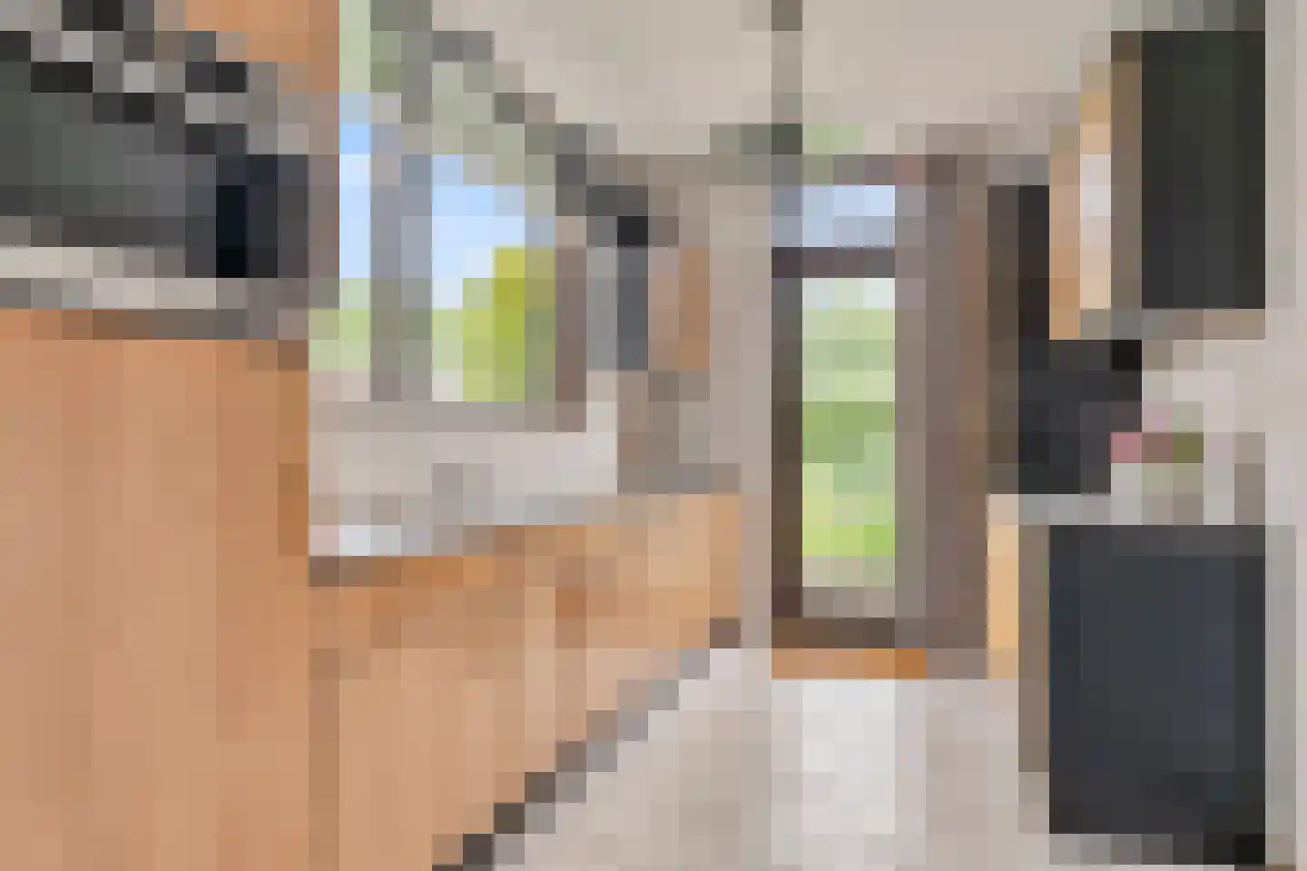 Buys Ballotweg 3 E 's-Hertogenbosch thumbnail 13