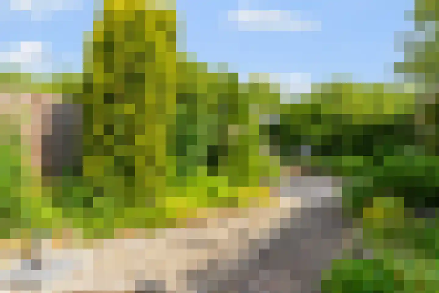 Buys Ballotweg 3 E 's-Hertogenbosch thumbnail 17