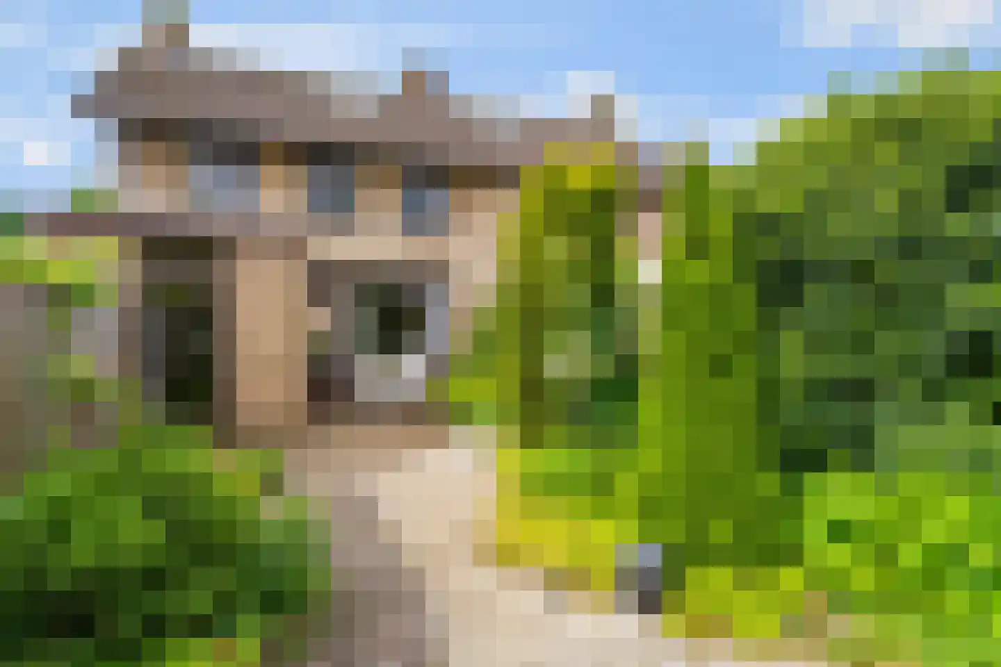 Buys Ballotweg 3 E 's-Hertogenbosch thumbnail 20