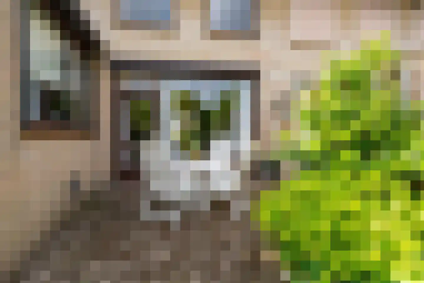 Buys Ballotweg 3 E 's-Hertogenbosch thumbnail 21