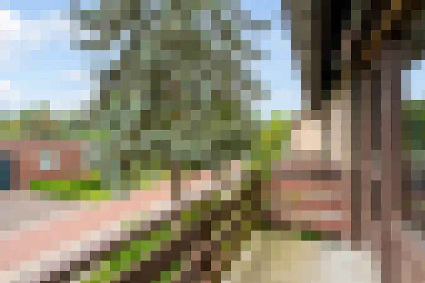 Buys Ballotweg 3 E 's-Hertogenbosch thumbnail 24