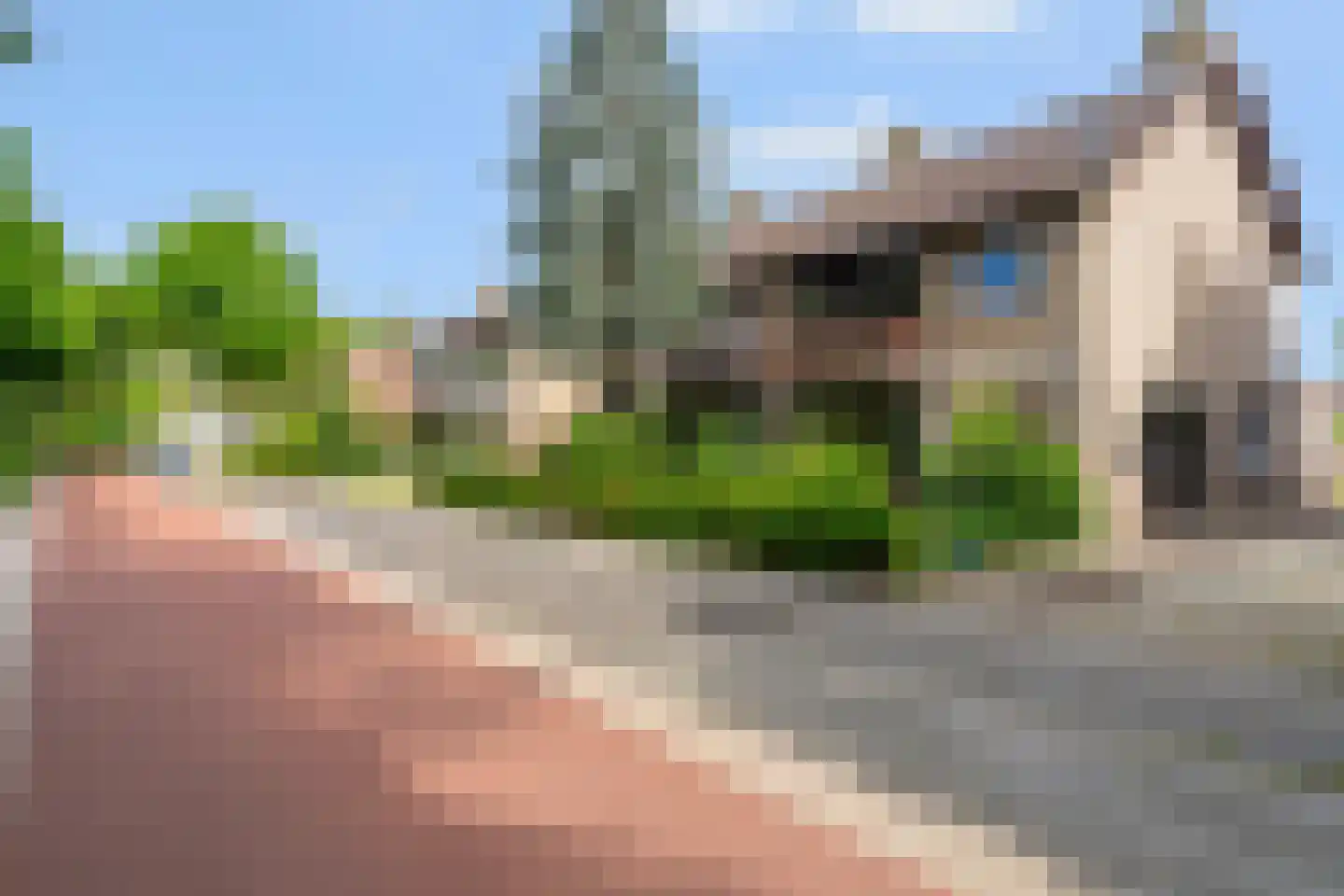 Buys Ballotweg 3 E 's-Hertogenbosch thumbnail 47