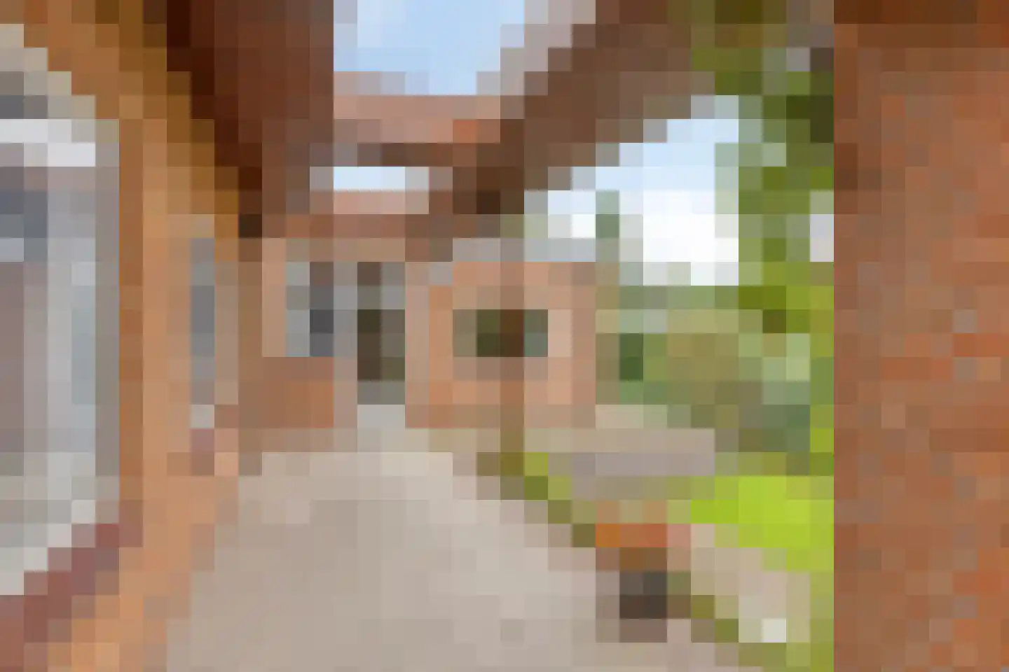 Buys Ballotweg 33 's-Hertogenbosch thumbnail 29