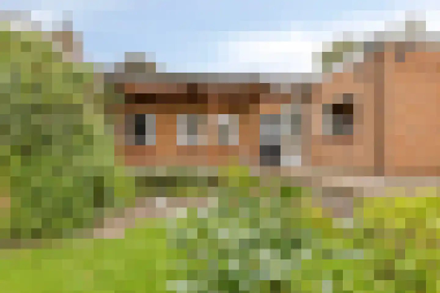 Buys Ballotweg 33 's-Hertogenbosch thumbnail 30