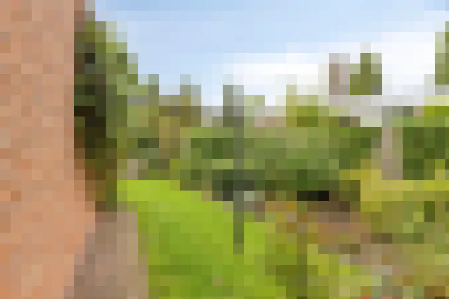 Buys Ballotweg 33 's-Hertogenbosch thumbnail 31