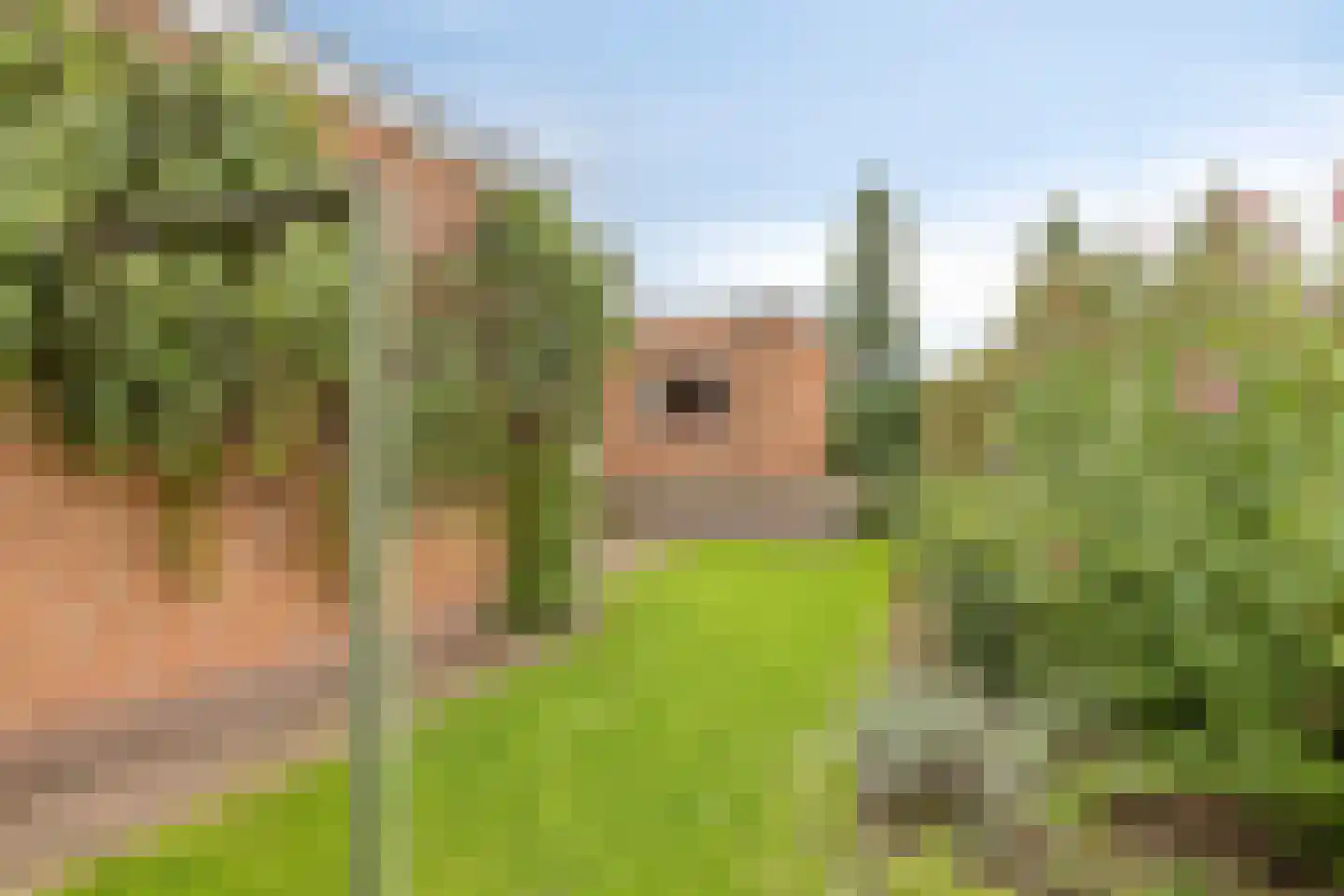 Buys Ballotweg 33 's-Hertogenbosch thumbnail 33