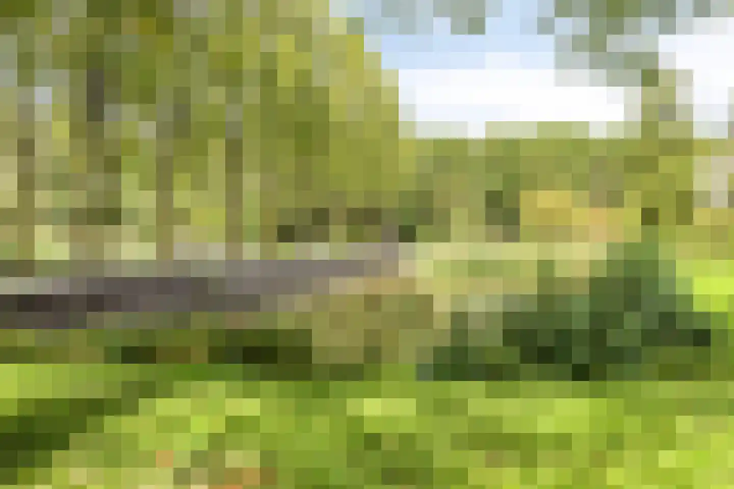 Buys Ballotweg 33 's-Hertogenbosch thumbnail 35