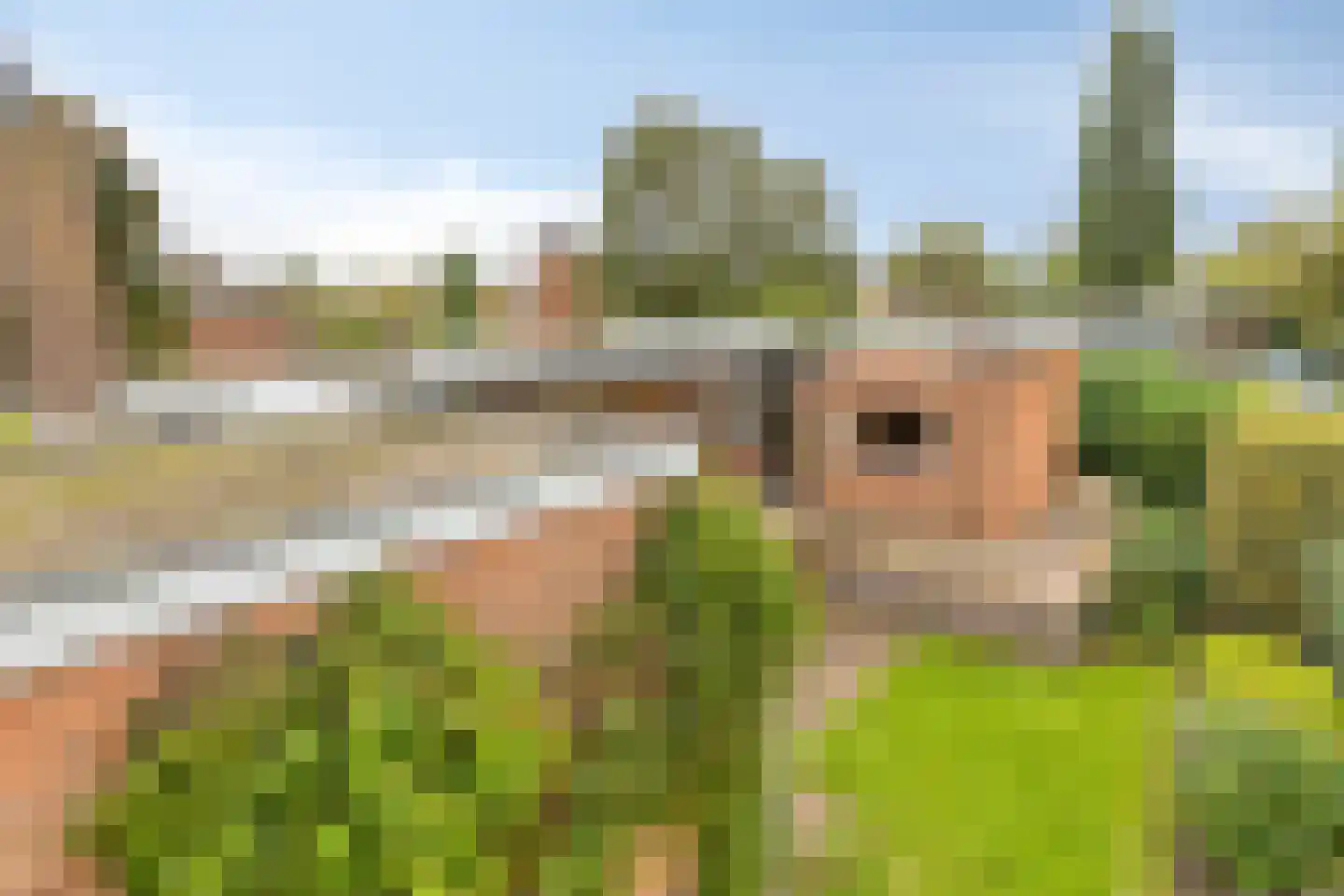 Buys Ballotweg 33 's-Hertogenbosch thumbnail 37
