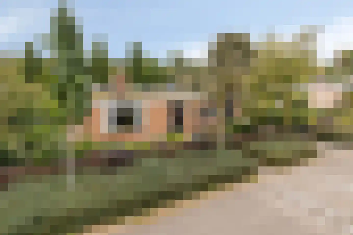 Buys Ballotweg 33 's-Hertogenbosch thumbnail 43