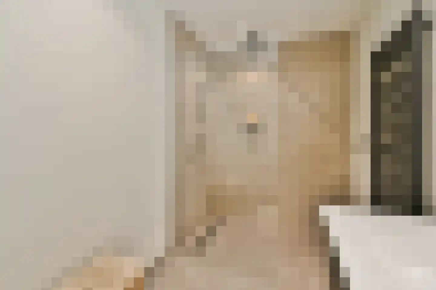 Buyskade 98 Amsterdam thumbnail 15