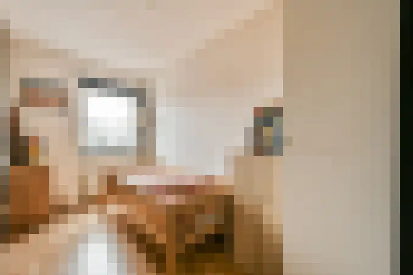 Buyskade 98 Amsterdam thumbnail 19