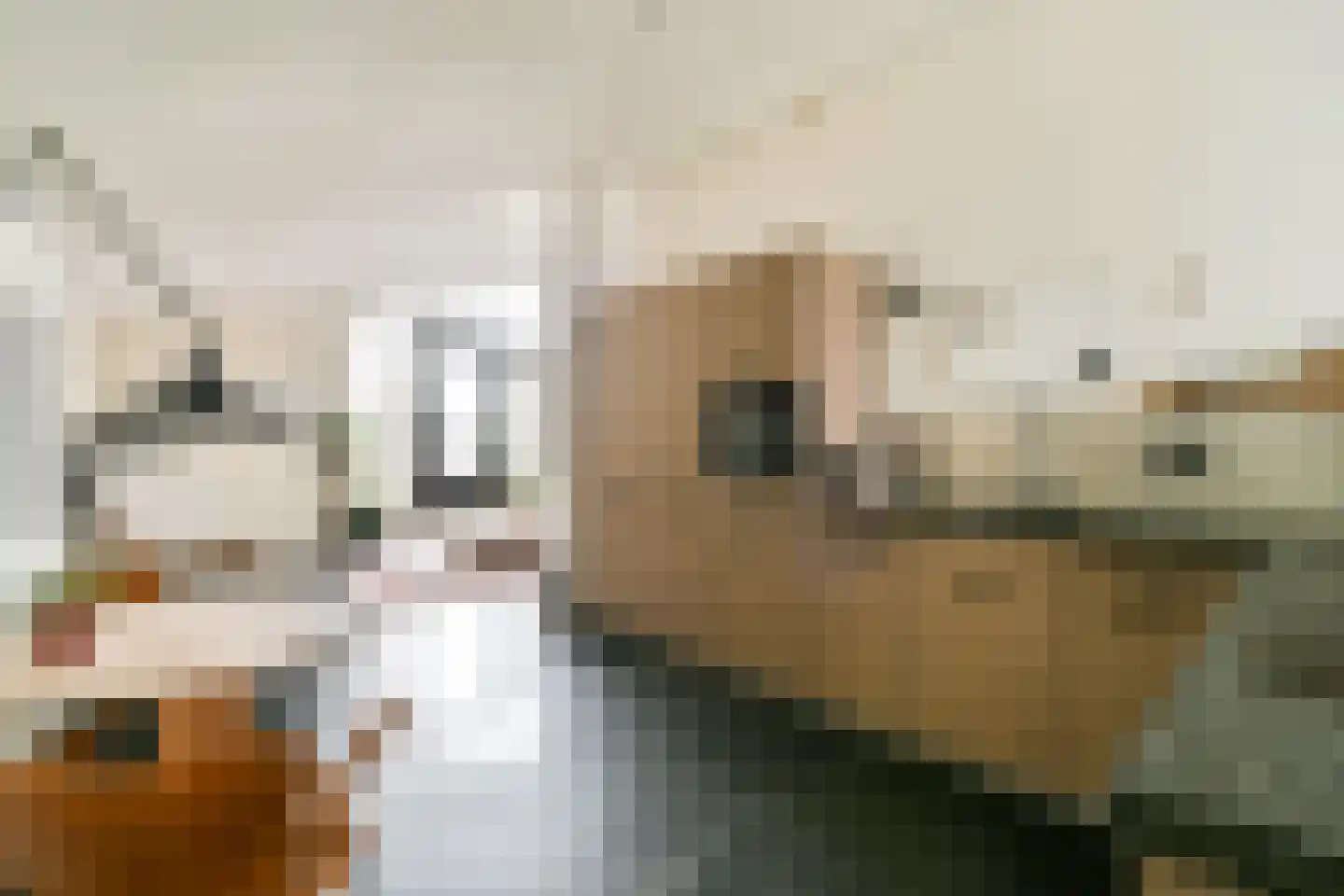 Buyskade 98 Amsterdam thumbnail 8