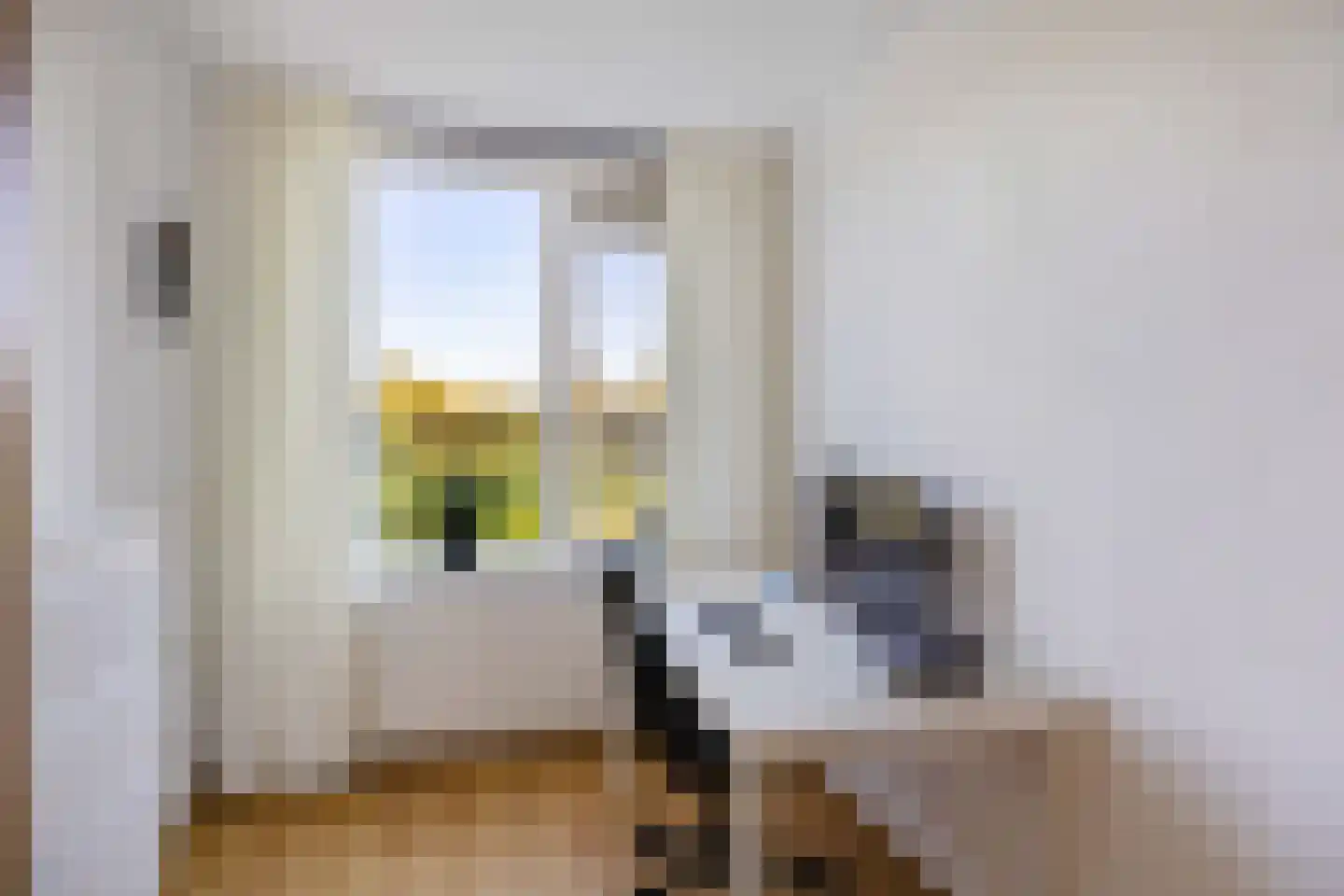 Buysstraat 5 Groningen thumbnail 27