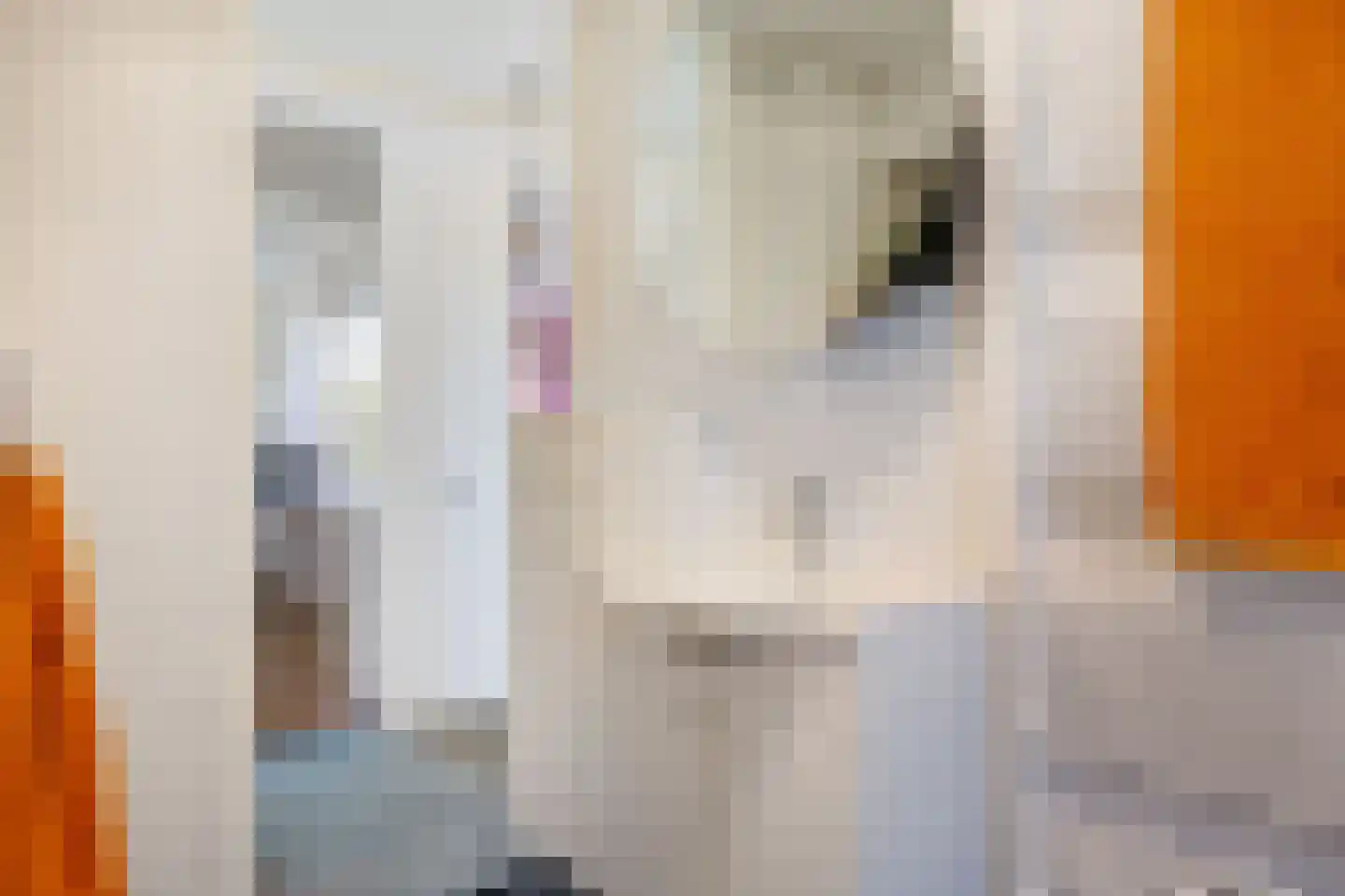 Buysstraat 5 Groningen thumbnail 33