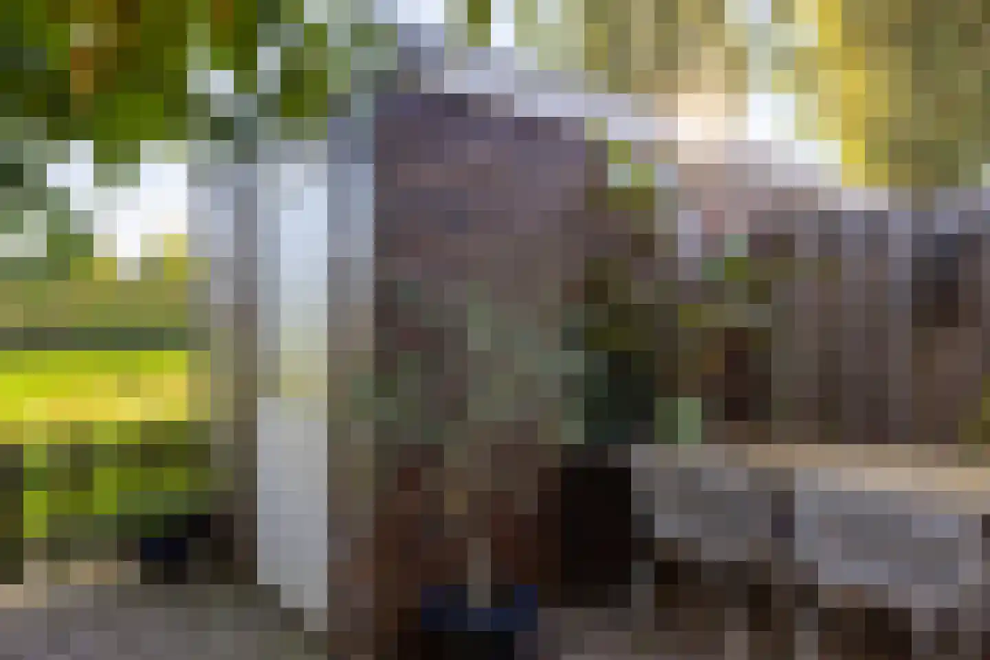 Buysstraat 5 Groningen thumbnail 38