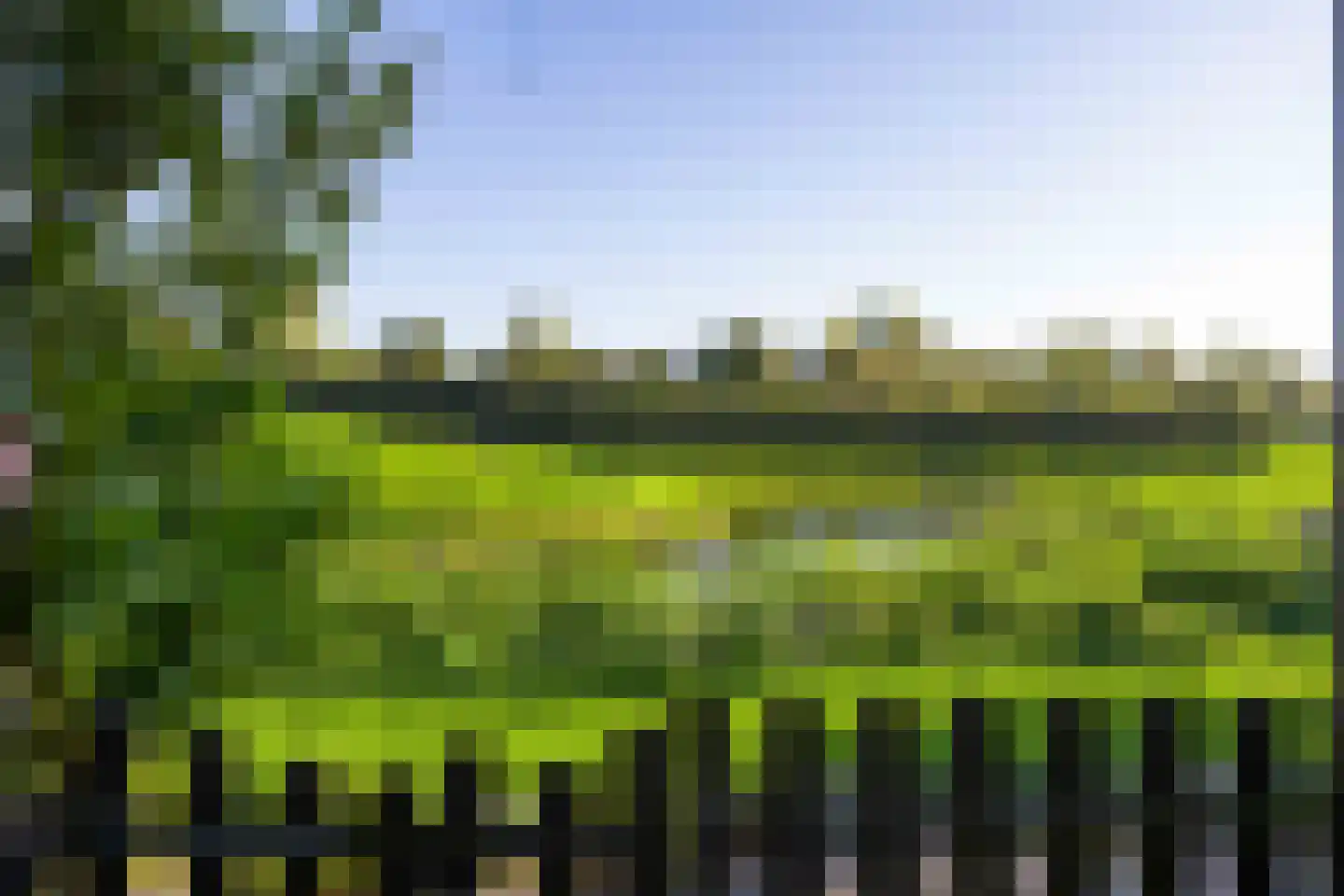Buysstraat 5 Groningen thumbnail 40